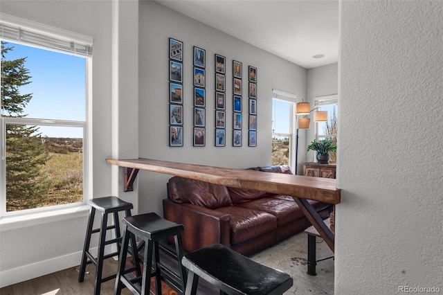 bar area with wood finished floors, baseboards, and a textured wall