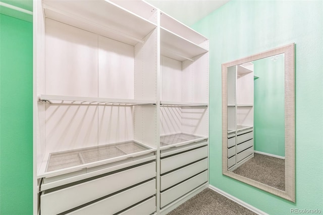 walk in closet with carpet