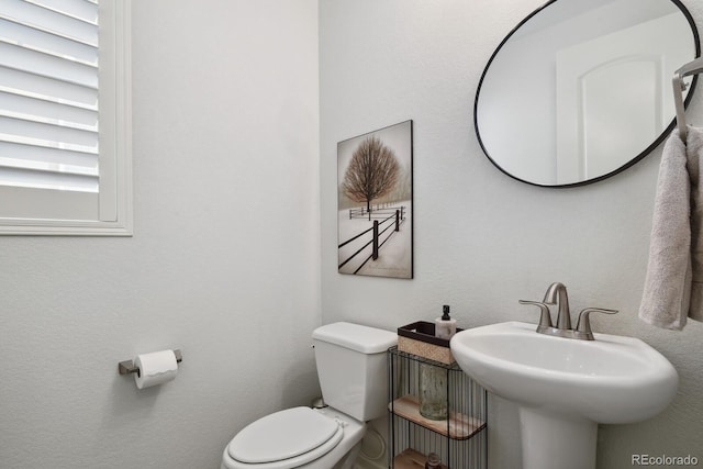 bathroom featuring toilet and sink