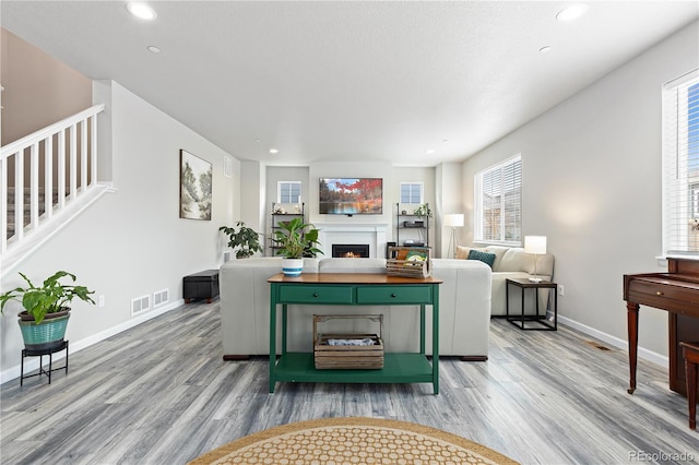 living room with hardwood / wood-style flooring