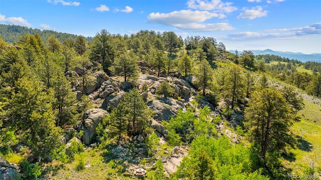 3980 County Rd 71, Guffey, CO 80820 - aerial view of a heavily wooded area and mountains