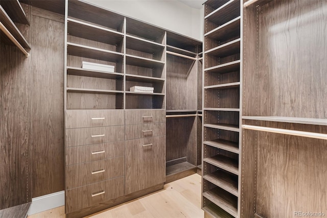 walk in closet with light wood-type flooring