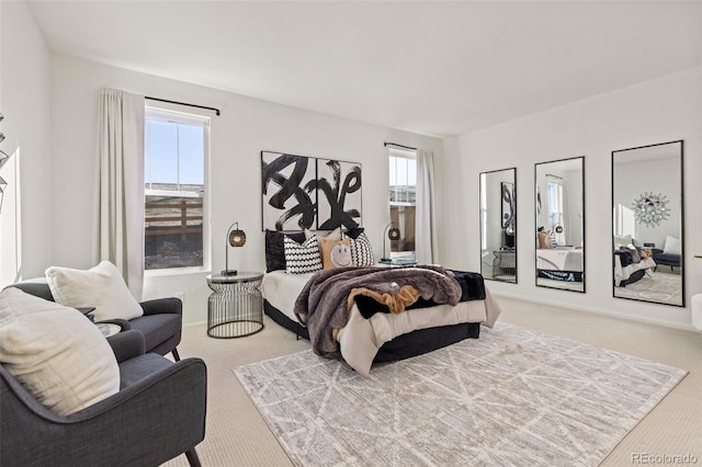 bedroom with carpet flooring