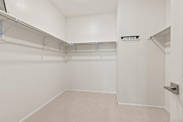 walk in closet featuring light colored carpet