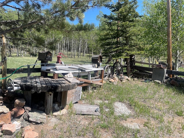 60 Pawnee Path, Lake George, CO 80827 - view of yard