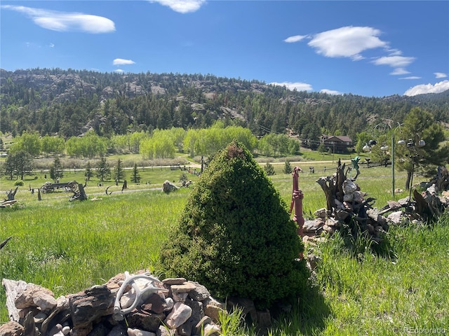 60 Pawnee Path, Lake George, CO 80827 - view of yard featuring a forest view