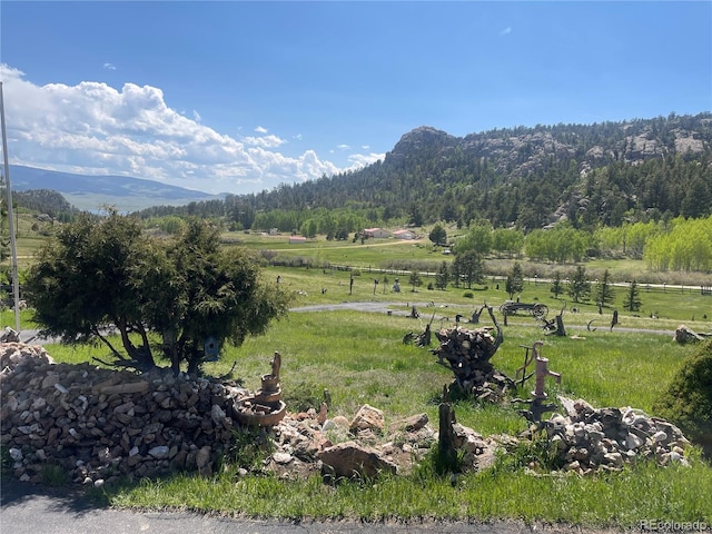 60 Pawnee Path, Lake George, CO 80827 - mountain view with a heavily wooded area