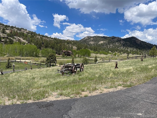 60 Pawnee Path, Lake George, CO 80827 - mountain view with rural landscape