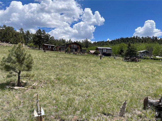 60 Pawnee Path, Lake George, CO 80827 - view of yard