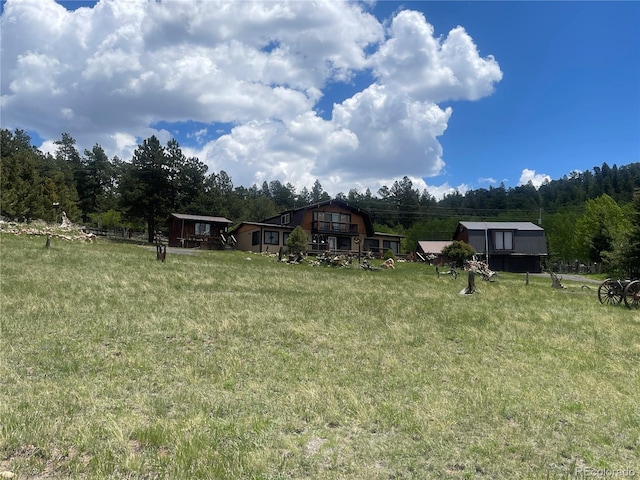 60 Pawnee Path, Lake George, CO 80827 - view of green lawn