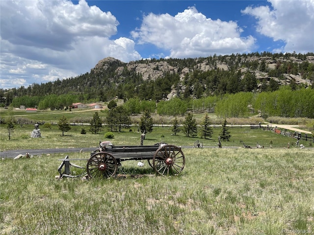 60 Pawnee Path, Lake George, CO 80827 - mountain view with rural landscape and a heavily wooded area