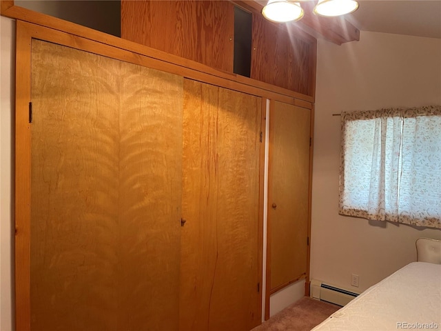60 Pawnee Path, Lake George, CO 80827 - bedroom featuring a baseboard heating unit and a closet