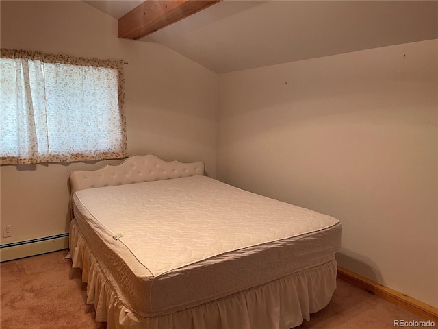 60 Pawnee Path, Lake George, CO 80827 - bedroom featuring a baseboard radiator and light colored carpet