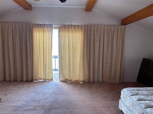 60 Pawnee Path, Lake George, CO 80827 - living area with carpet flooring and a ceiling fan