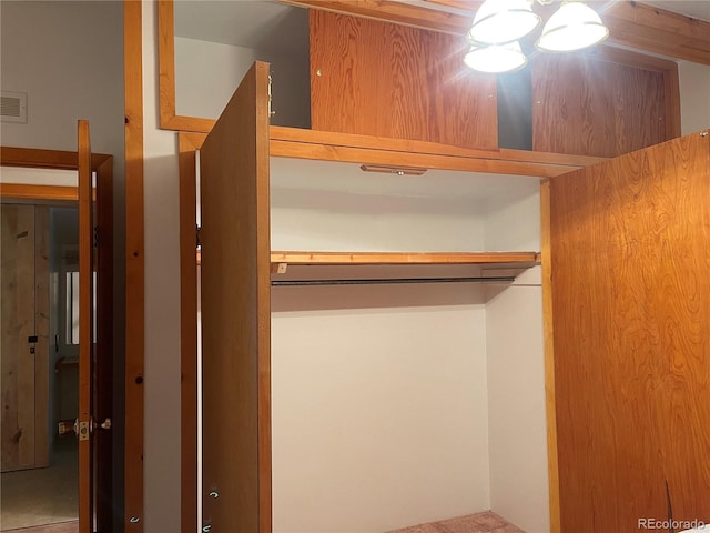 60 Pawnee Path, Lake George, CO 80827 - view of closet
