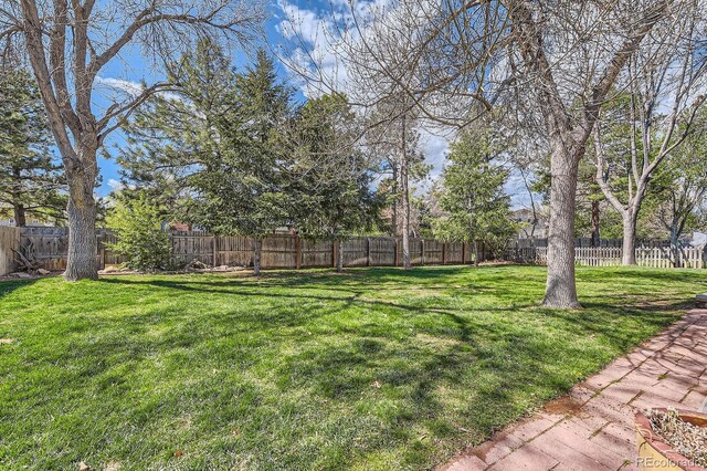 view of yard with a fenced backyard