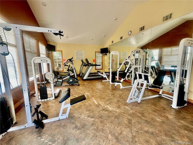 3252 E 103rd Dr Unit 708, Denver, CO 80229 - gym with lofted ceiling and healthy amount of natural light