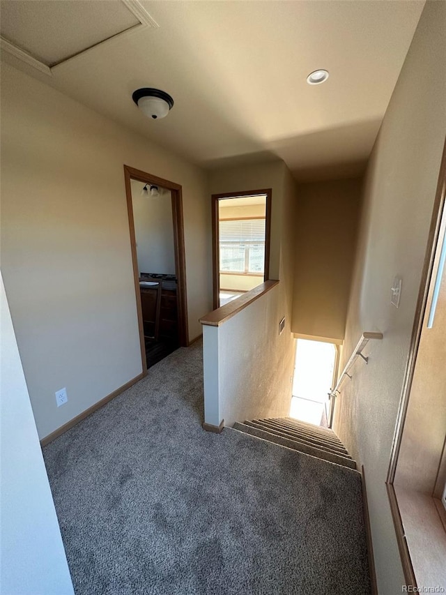 stairway with carpet floors