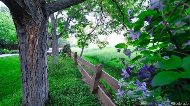 5150 Morning Glory Pl, Highlands Ranch, CO 80130 - view of yard