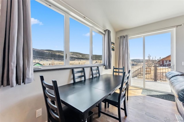 255 Flannigan Cir, Alma, CO 80420 - dining area featuring wood finished floors