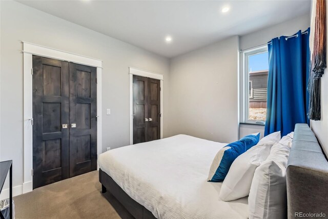 255 Flannigan Cir, Alma, CO 80420 - bedroom featuring recessed lighting and carpet
