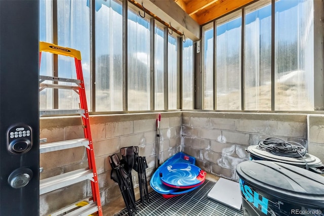 255 Flannigan Cir, Alma, CO 80420 - view of storage area