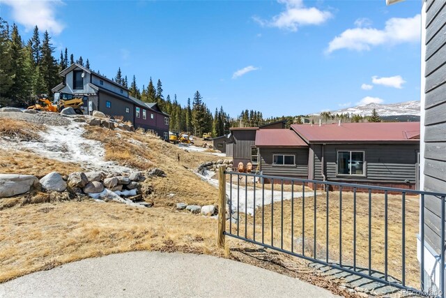 255 Flannigan Cir, Alma, CO 80420 - view of yard