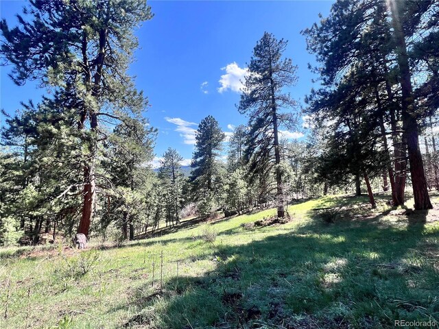 4574 Picutis Rd, Indian Hills, CO 80454 - photo 45
