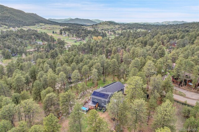 4574 Picutis Rd, Indian Hills, CO 80454 - photo 47