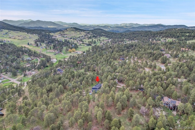 4574 Picutis Rd, Indian Hills, CO 80454 - photo 48