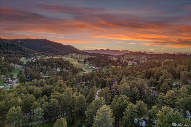 4574 Picutis Rd, Indian Hills, CO 80454 - photo 49