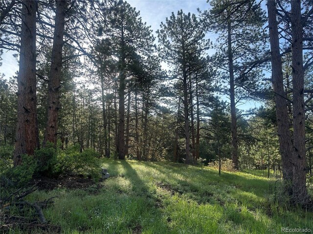 4574 Picutis Rd, Indian Hills, CO 80454 - photo 4