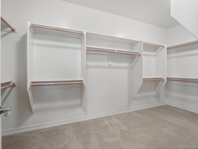 walk in closet with carpet flooring