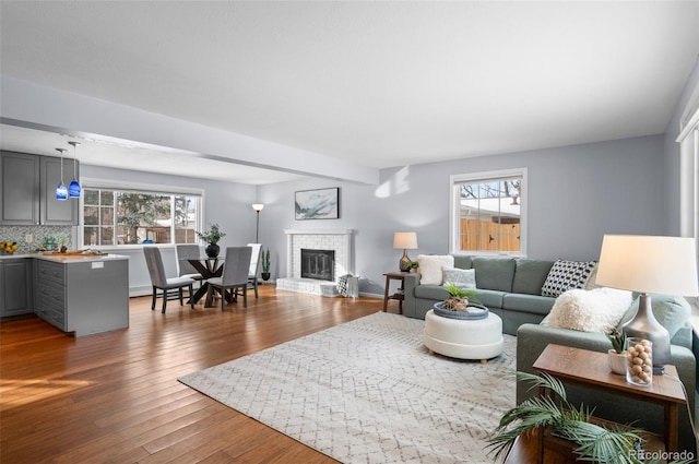 living room with plenty of natural light, wood-type flooring, and a fireplace