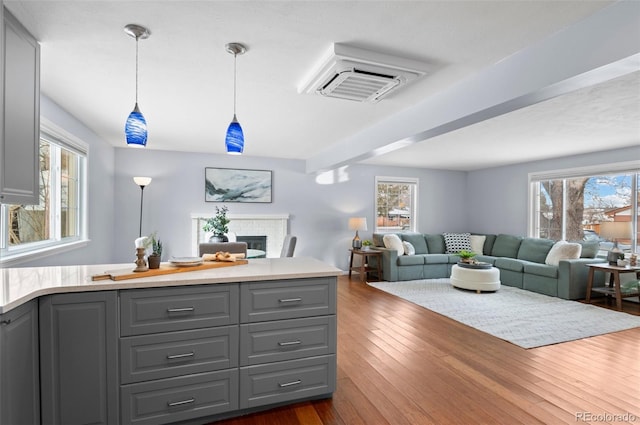 living room featuring a healthy amount of sunlight and dark hardwood / wood-style flooring