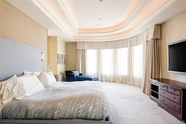 bedroom with a raised ceiling and carpet flooring