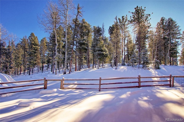 1245 Blossom Rd, Woodland Park, CO 80863 - view of yard covered in snow