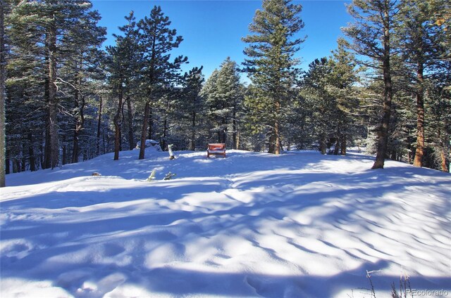 1245 Blossom Rd, Woodland Park, CO 80863 - view of snowy yard