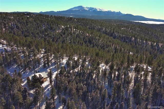 1245 Blossom Rd, Woodland Park, CO 80863 - bird's eye view featuring a mountain view