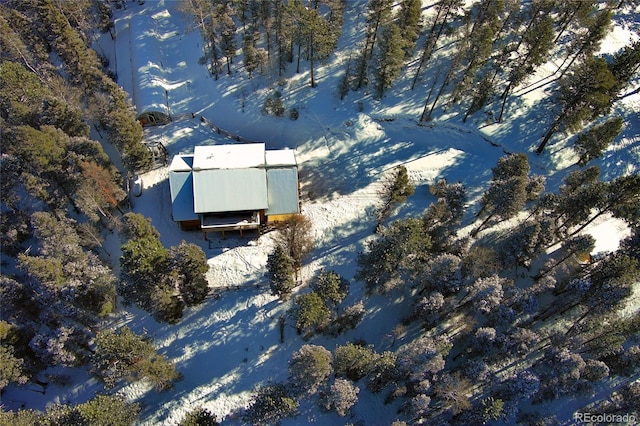 1245 Blossom Rd, Woodland Park, CO 80863 - view of snowy aerial view