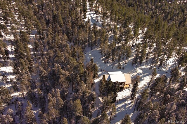 1245 Blossom Rd, Woodland Park, CO 80863 - view of snowy aerial view