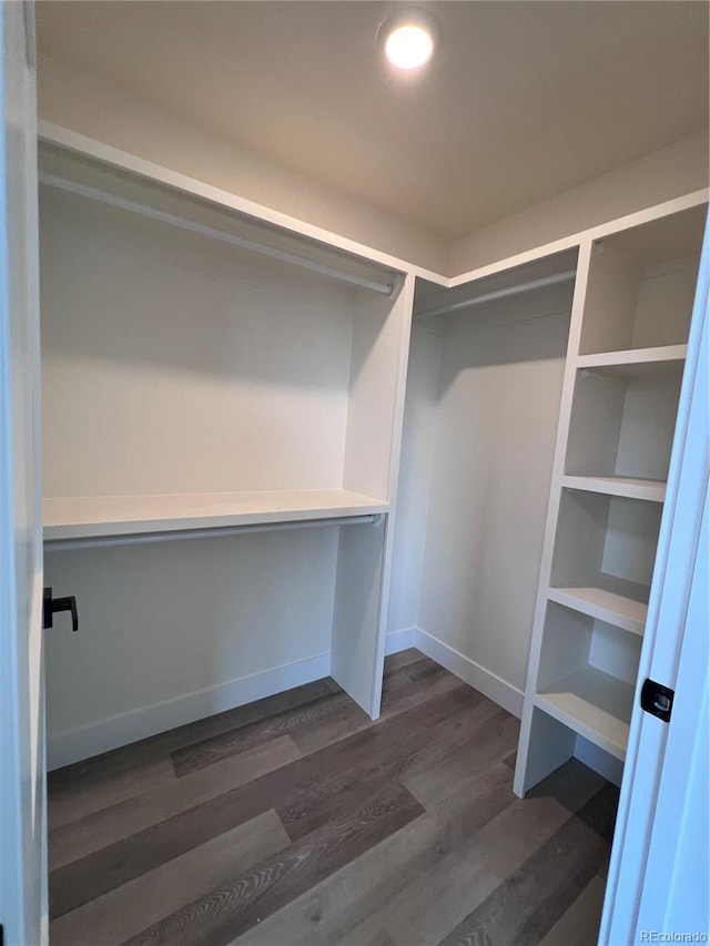 walk in closet featuring dark hardwood / wood-style floors