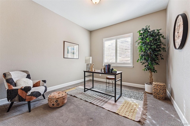 4937 Hogback Ridge Rd, Morrison, CO 80465 - home office featuring baseboards and carpet flooring