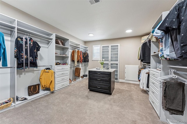 4937 Hogback Ridge Rd, Morrison, CO 80465 - spacious closet with light carpet and visible vents