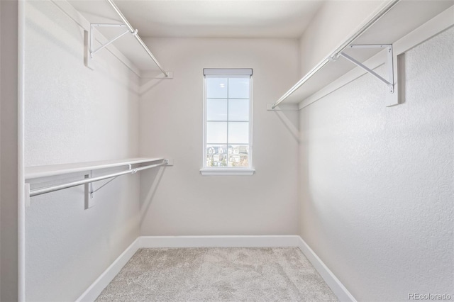 walk in closet featuring light carpet