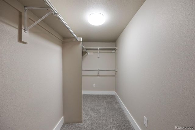 walk in closet with carpet