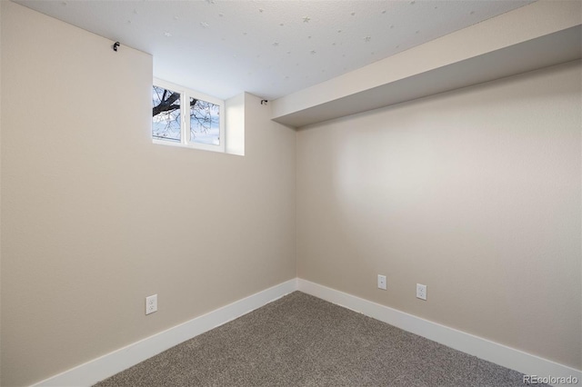 basement featuring carpet floors