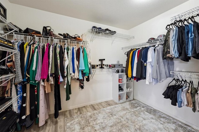 5293 Malaya St, Denver, CO 80249 - walk in closet with wood finished floors