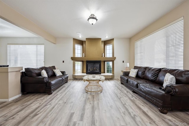 5293 Malaya St, Denver, CO 80249 - living room with baseboards, wood finished floors, a fireplace, and recessed lighting
