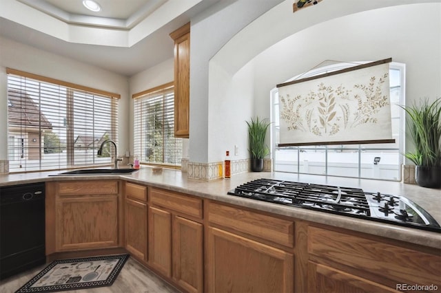 5293 Malaya St, Denver, CO 80249 - kitchen featuring a sink, brown cabinetry, black appliances, light wood-type flooring, and light countertops